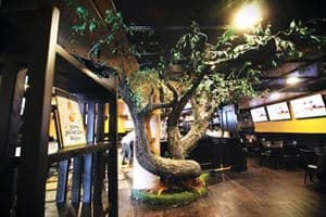 The Pub