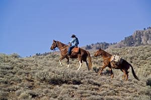 Wildhorse Creek Ranch, Mackay