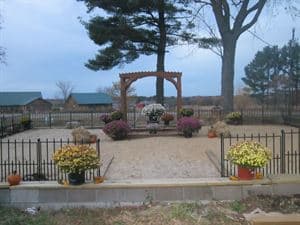 Our Country Garden, Augusta