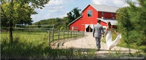 Gale Woods Farm Pavilion, Mound