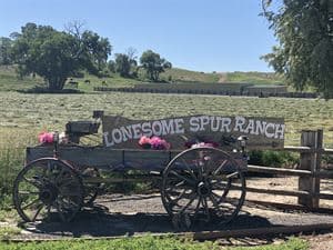 Lonesome Spur Ranch, Bridger
