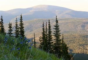 Showdown Montana, Neihart