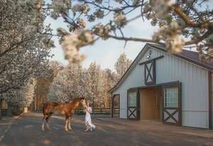 Stafford Stables