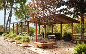 Skyline Lodge
