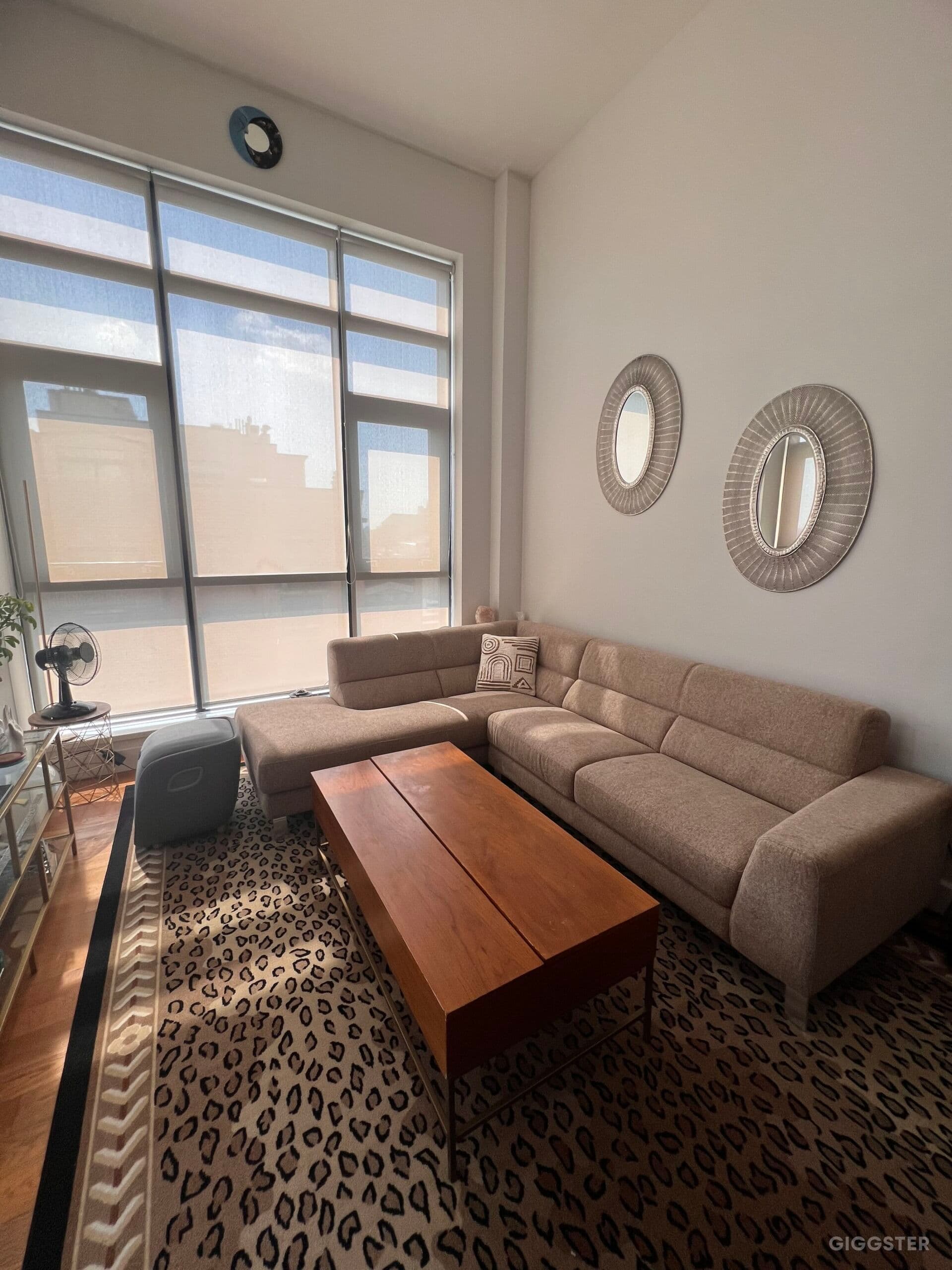 Greenpoint Penthouse