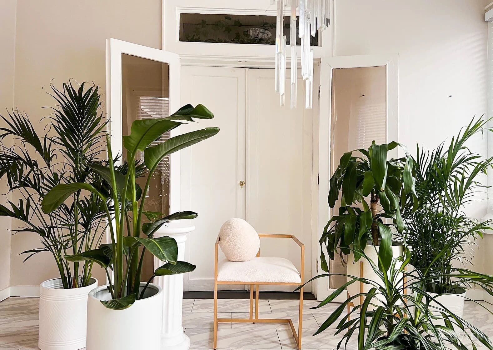 A Carefully Curated Content & Event Studio