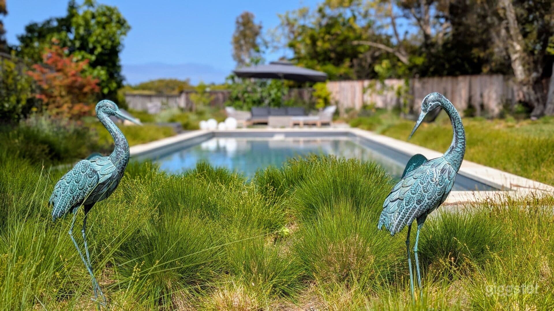 Modern Coastal Resort Backyard with Stunning Pool