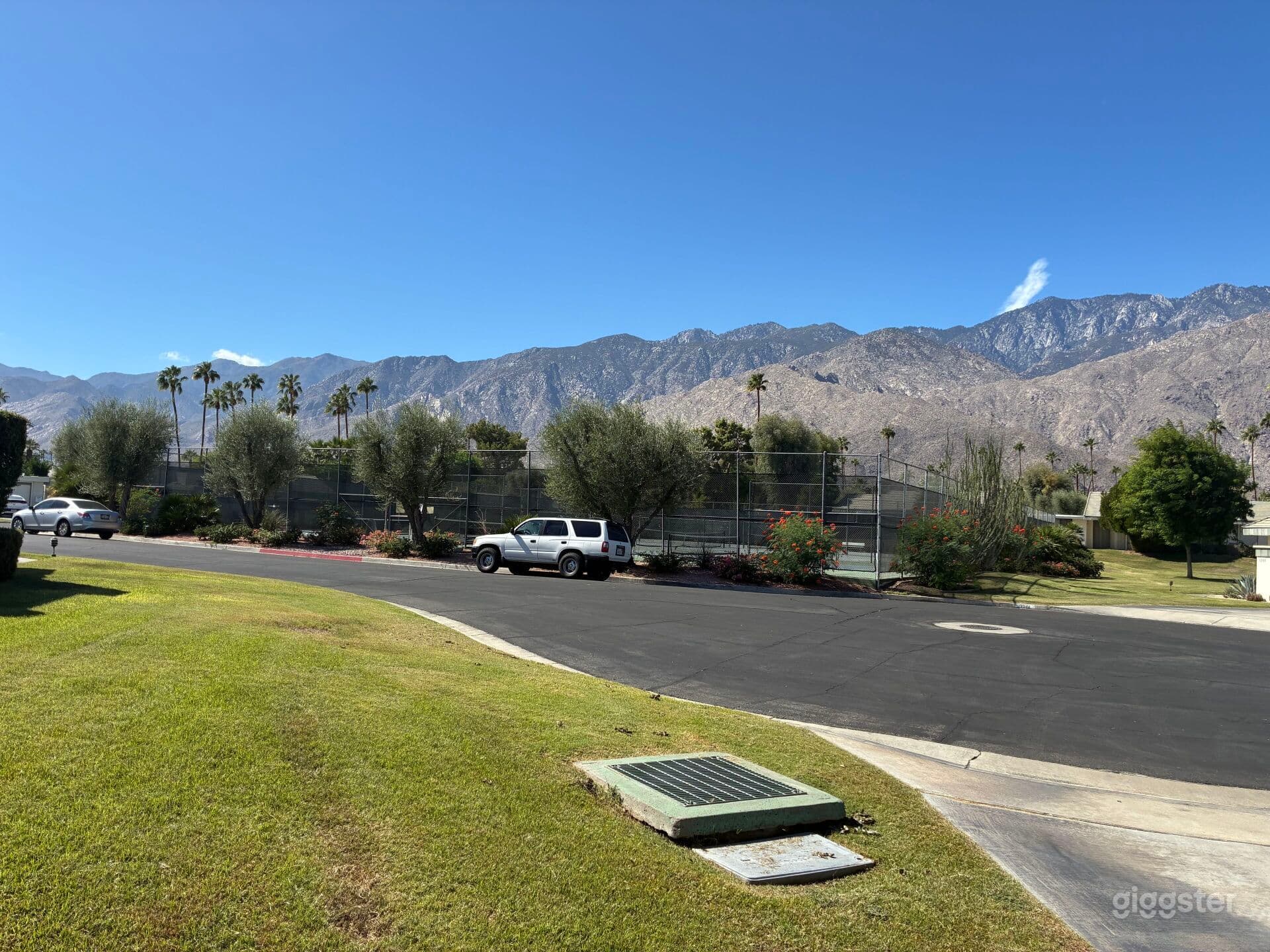 Palm Springs Productions